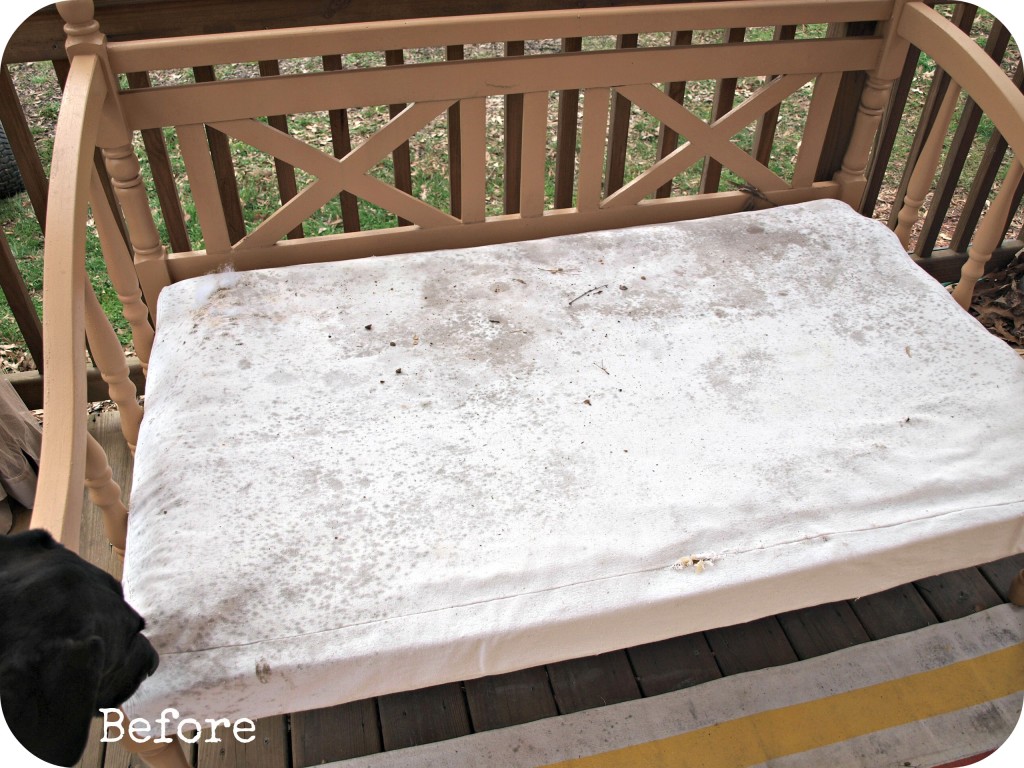 Dirty and mildewy outdoor cushions
