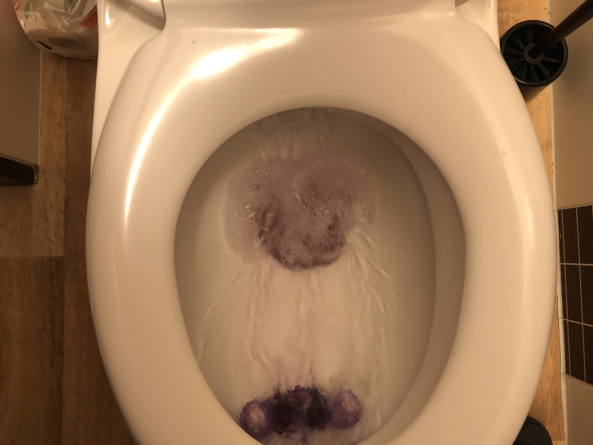 Toilet Swirls But Won T Flush