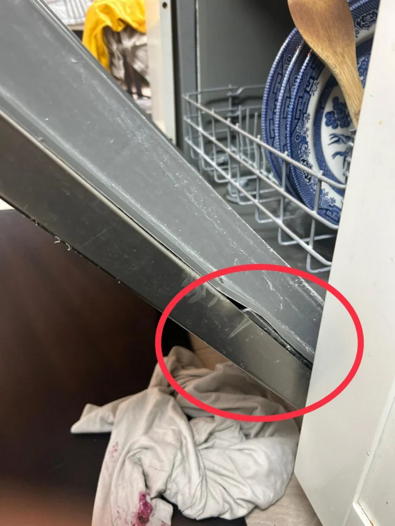 Bosch Dishwasher Door Damage