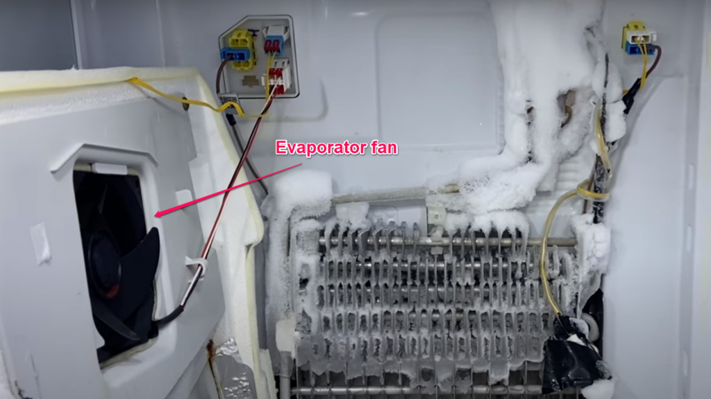 Refrigerator Clogged Evaporator Fan