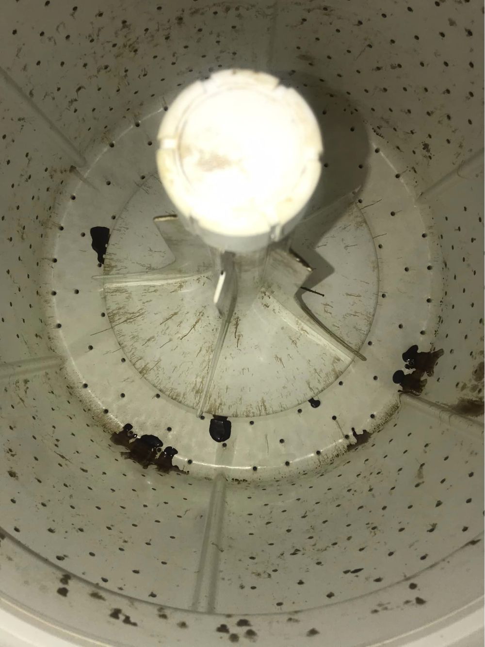 Washing Machine Leaking Oil [MUST READ]