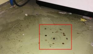 Washing Machine Leaking Oil [MUST READ] - SimplySwider.com