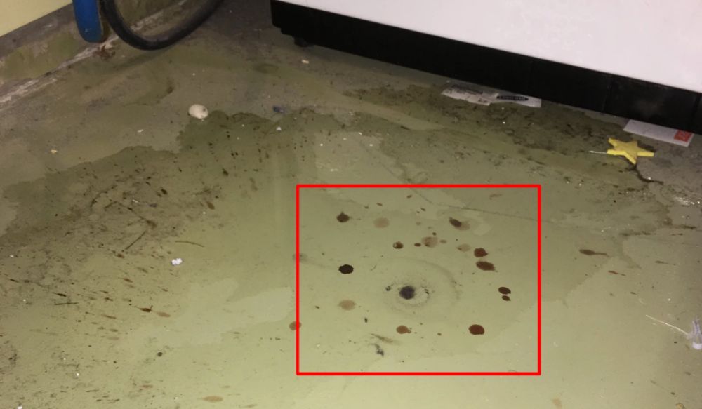 Washing Machine Leaking a Mixture of Water and Grease